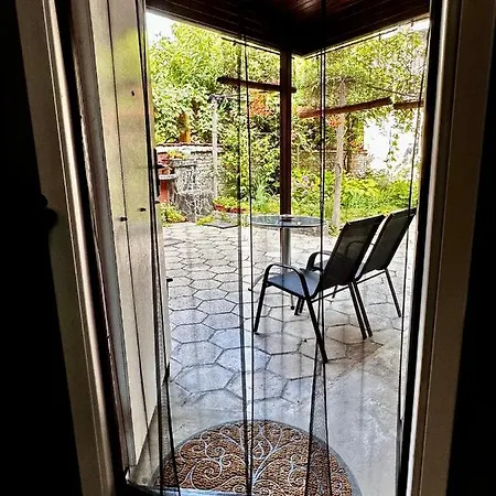 Art 36 * 플로브디프